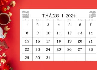 How Many Days Until Tet 2024? Countdown to Tet 2024