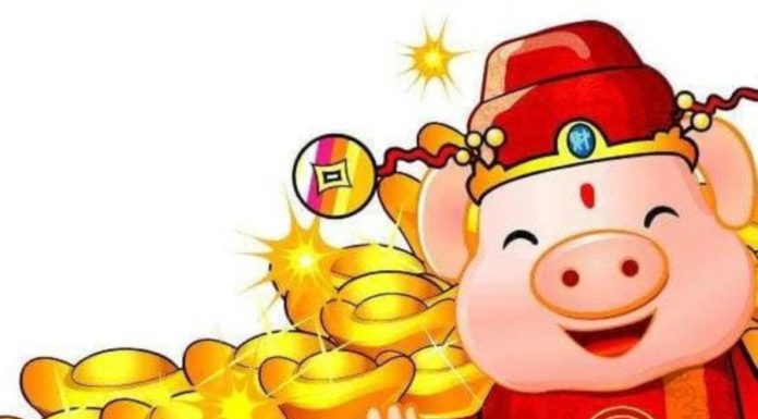 The Ultimate Guide to Rising from the Ashes: Unveiling the Power of the Phoenix Destiny