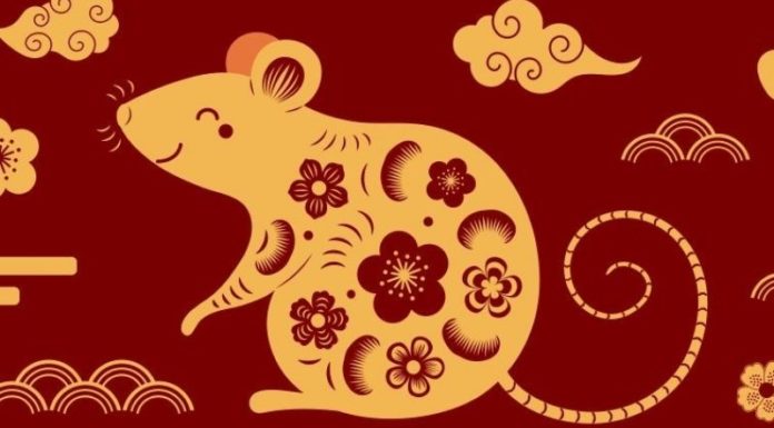 The Perfect Union: Unveiling the Most Harmonious Zodiac Match for Marriages in the Tiger’s Year