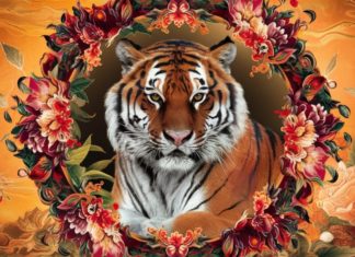 The Lucky Zodiac Duo: Celestial Blessings and the One to Beware.