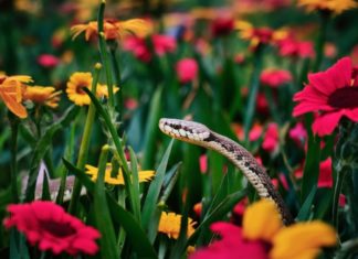 July 2024: Fortune’s Knock, 3 Zodiac Signs Blessed With Abundance, A Sudden Twist of Fate