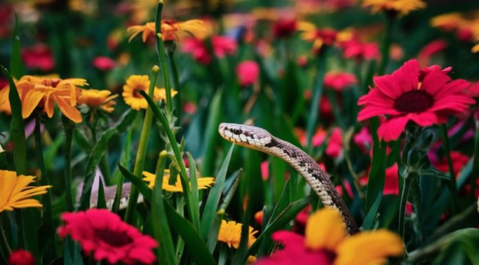 July 2024: Fortune’s Knock, 3 Zodiac Signs Blessed With Abundance, A Sudden Twist of Fate