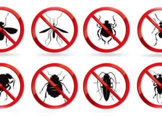 The Surprising Benefits of Carbonated Drinks