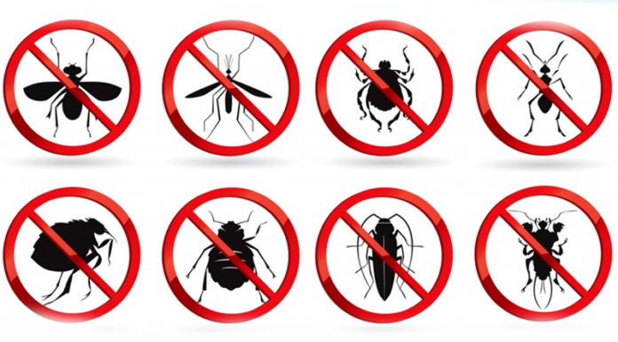 The Surprising Benefits of Carbonated Drinks