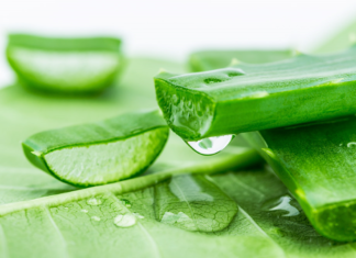 The Miracle of Aloe Vera: Achieving Luscious, Vibrant Locks