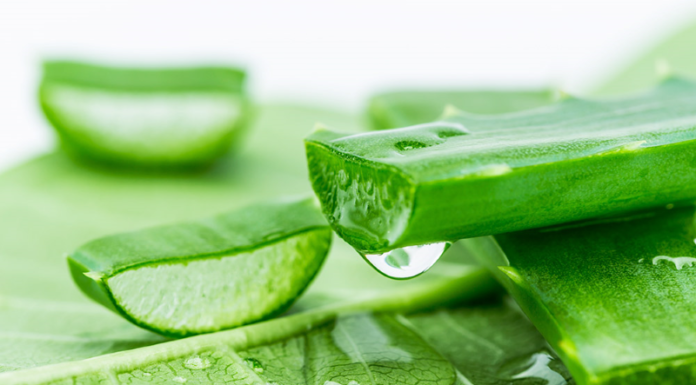 The Miracle of Aloe Vera: Achieving Luscious, Vibrant Locks