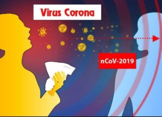 What Are the Transmission Routes of Corona?