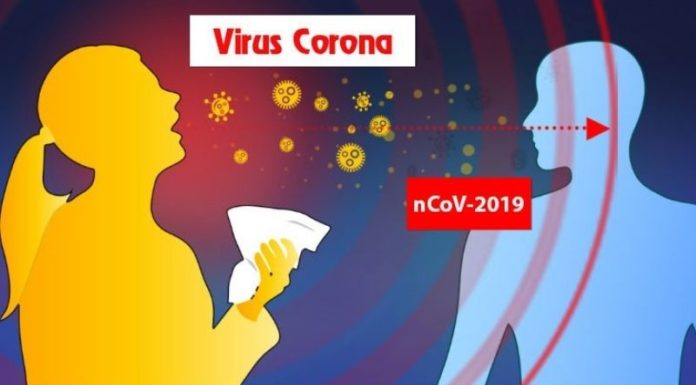 What Are the Transmission Routes of Corona?