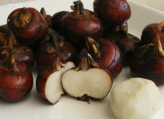 What is Taro, Its Benefits and Precautions