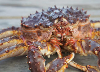 What are Emperor Crabs? How to Easily Distinguish Between Emperor Crabs and Yellow Emperor Crabs.