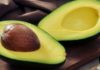 “Unlocking the Power of Avocado Seeds: Don’t Waste, Taste and Nourish”