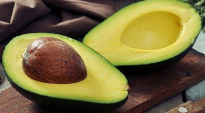 “Unlocking the Power of Avocado Seeds: Don’t Waste, Taste and Nourish”