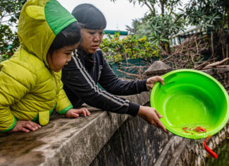 Should the Kitchen God Festival Ritual Involve Real or Paper Carp?