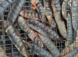 A New Year’s Tradition: Infusing Your Home with Herbal Fragrance for a Year of Abundant Luck