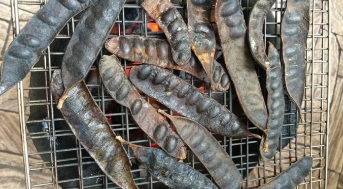 A New Year’s Tradition: Infusing Your Home with Herbal Fragrance for a Year of Abundant Luck