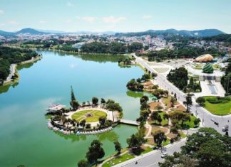 What Are the Specialties of Da Lat? 15 Delights to Buy as Gifts