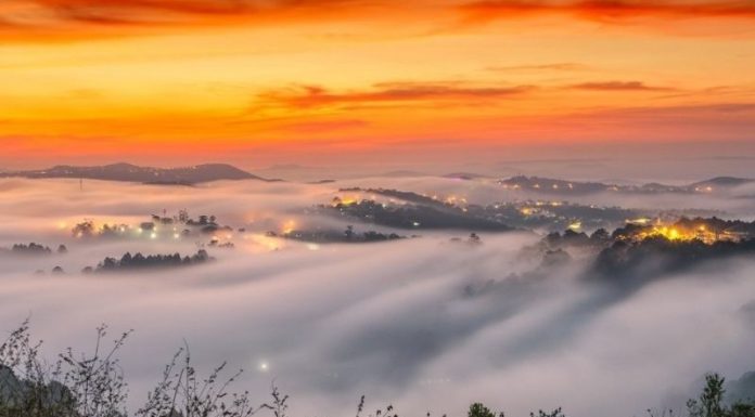 Dalat Expected to Welcome Visitors Starting November: Essential Documents to Have Before You Go
