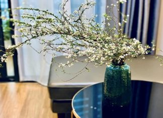 The Enchanting Snowdrop: Unveiling the Delicate Beauty, Origins, and Significance