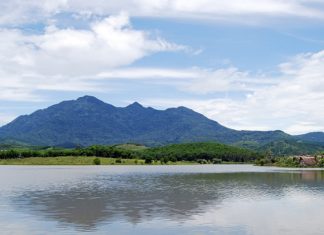 Ba Vi Delicacies: Top 10 Local Specialties to Savour and Gift