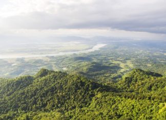 The Delicious Delights of Ba Vi: 7 Local Specialties to Savour and Take Home.