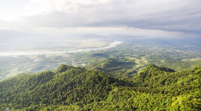 The Delicious Delights of Ba Vi: 7 Local Specialties to Savour and Take Home.