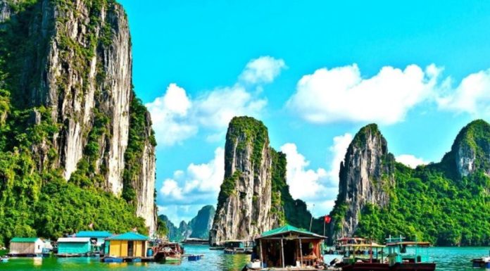 The Tasty Treasures of Ha Long: 15 Delicacies to Savour and Gift