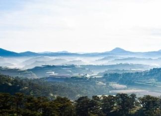 The Tasty Treats of Lam Dong: 15 Delicacies to Savour and Gift