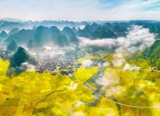 Lạng Sơn Delicacies: 15 Mouth-watering Specialties to Try and Buy as Gifts