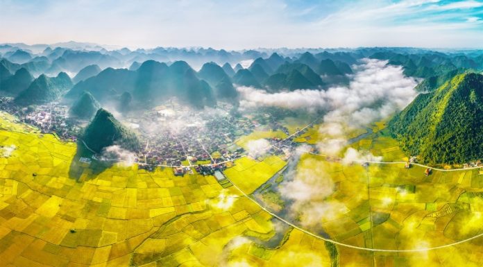 Lạng Sơn Delicacies: 15 Mouth-watering Specialties to Try and Buy as Gifts