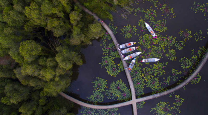 Long An Specialties: 19 Delicious Local Treats to Try and Buy as Gifts