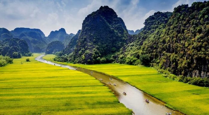 Ninh Binh Delicacies: Top 15 Local Specialties to Savour and Bring Home as Gifts