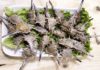 The Unloved Spiny Sea Creature Now a Culinary Delicacy: Foodies Fork Out 250,000 VND/kg for the Ultimate Taste Sensation.