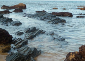 The Tasty Treasures of Quang Nam: 20 Delights to Savour and Gift.