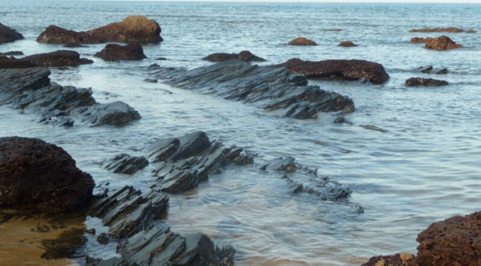 The Tasty Treasures of Quang Nam: 20 Delights to Savour and Gift.