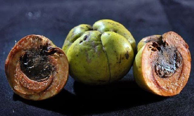 The Ultimate Country Treasure: A Tasty Treat Turned Urban Delicacy.