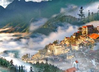 The Delights of Sapa: A Taste of the Top 19 Treats to Try and Buy as Gifts.
