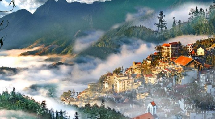 The Delights of Sapa: A Taste of the Top 19 Treats to Try and Buy as Gifts.