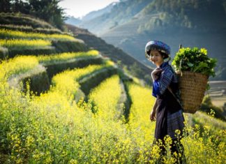 The Tasty Treasures of Northwest Vietnam: 15 Delights to Sample and Take Home.