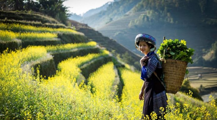 The Tasty Treasures of Northwest Vietnam: 15 Delights to Sample and Take Home.