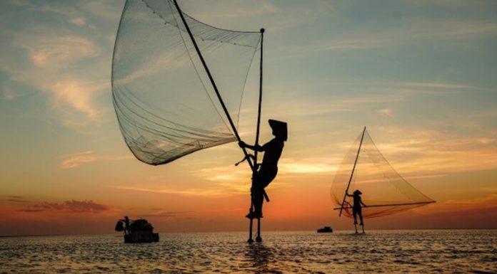 The Tasty Treasures of Thai Binh: 15 Delights to Savour and Gift