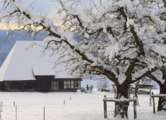 What is the Big Freeze? When is the Big Freeze 2022?