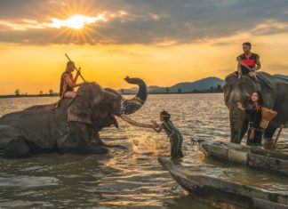 What are Dak Lak’s Specialties? 15 Dak Lak Specialties to Try and Buy as Gifts