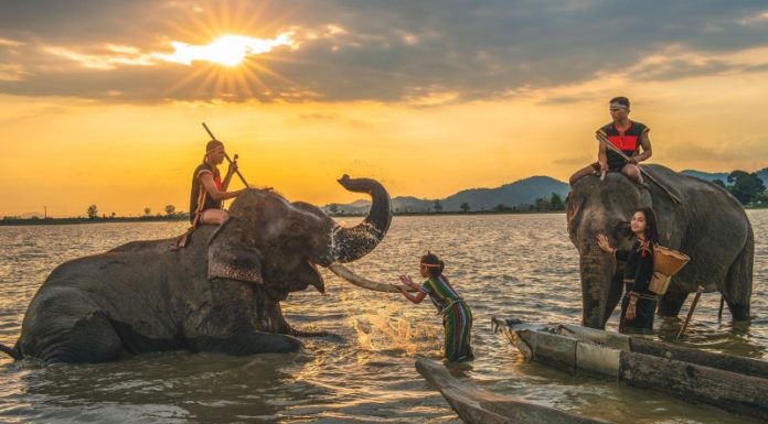 What are Dak Lak’s Specialties? 15 Dak Lak Specialties to Try and Buy as Gifts