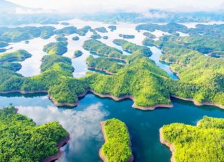 What are Dak Nong’s Specialties? 15 Dak Nong Specialties to Try and Buy as Gifts.