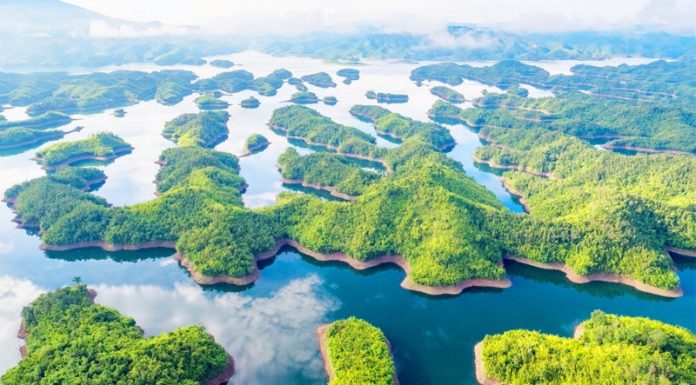 What are Dak Nong’s Specialties? 15 Dak Nong Specialties to Try and Buy as Gifts.