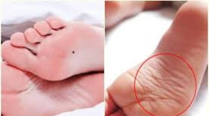 “Small Feet, Big Hands: Exploring the Ancient Adage”