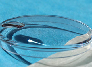 The Magic of Revitalizing Your Watch: Polishing the Crystal with Everyday Ingredients