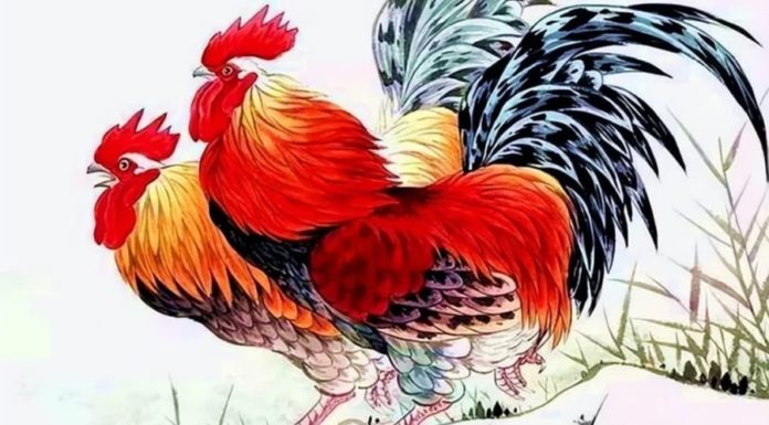 The Next 60 Days: 3 Years of Fortune and Prosperity – Become a Millionaire or a Tycoon