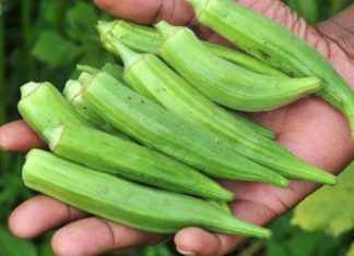 The Superfood for Diabetics: Unlocking the Power of Okra