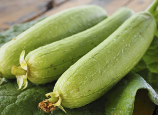 The Secret to Stir-Frying Crisp, Green Moqua: A Chef’s Guide to Perfection